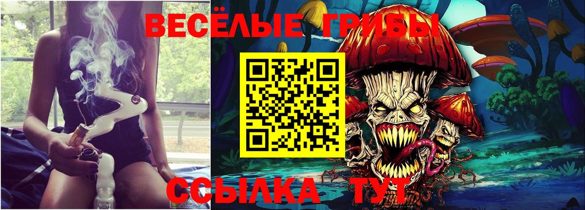 Галлюциногенные грибы ЛСД Алексеевка
