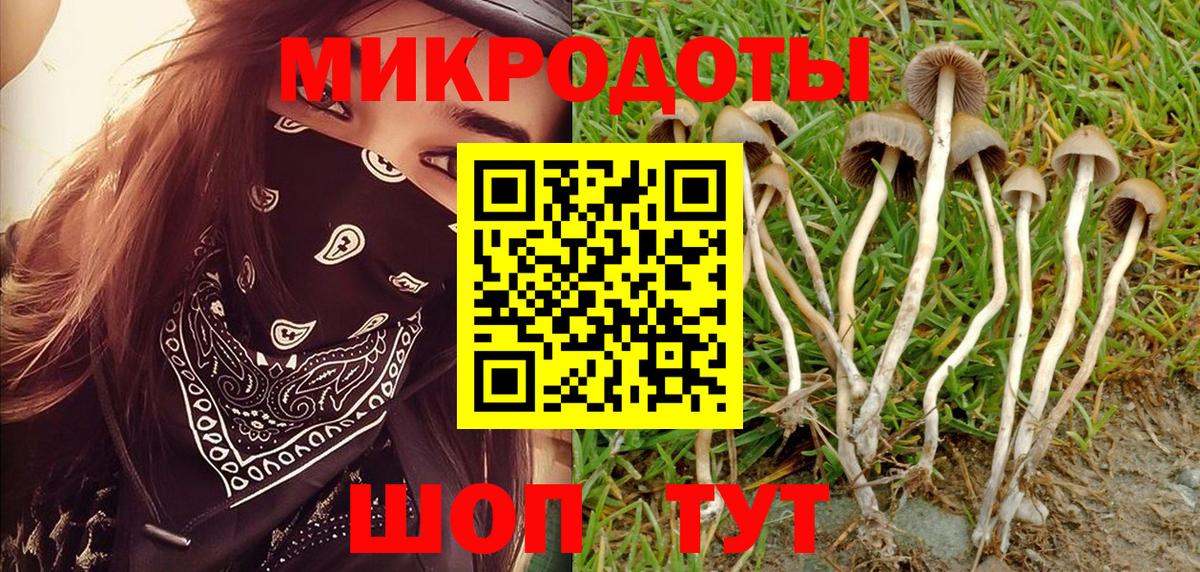 Алексеевка  Псилоцибиновые грибы прущие грибы  Вход с VPN  Галлюциногенные грибы прущие грибы 